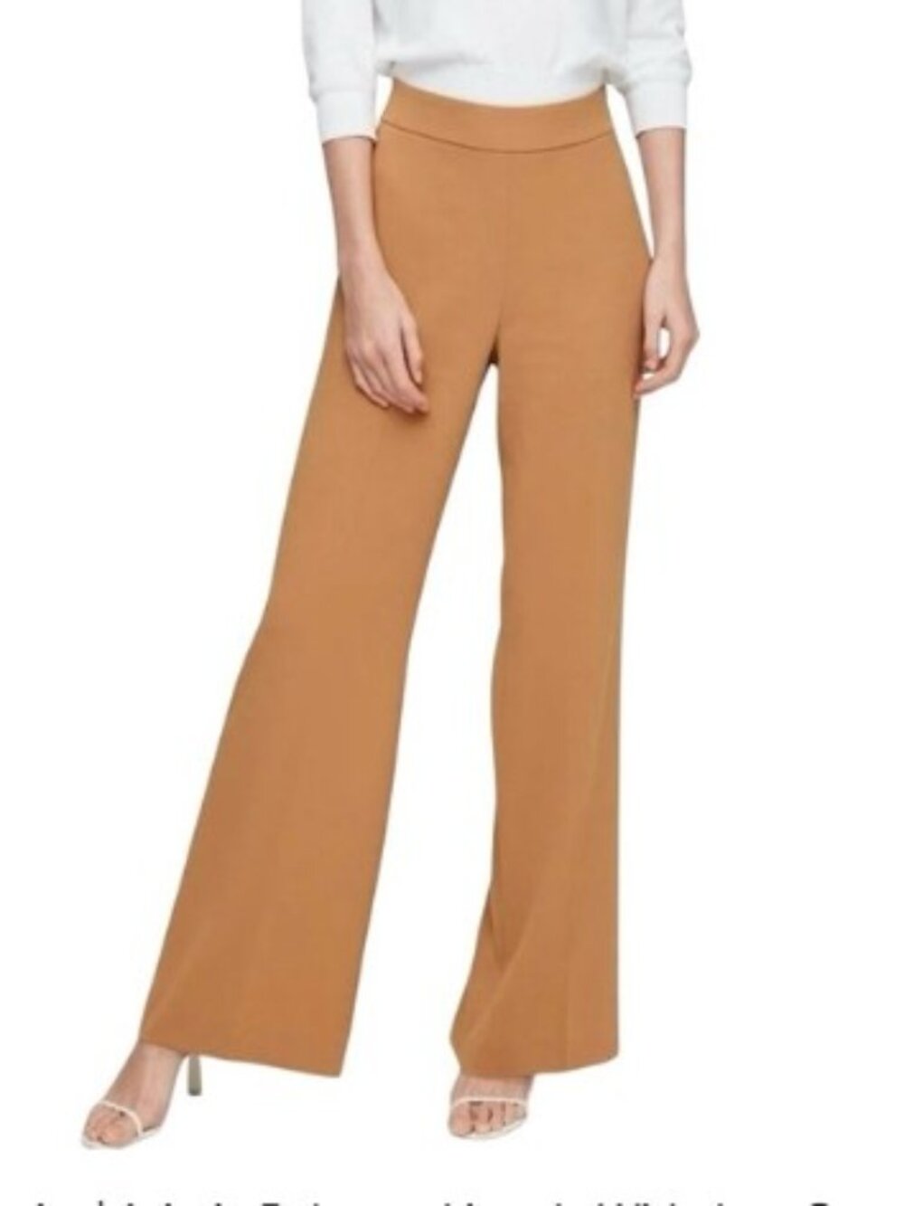 Aritzia Babaton Lincoln pants